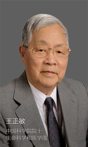 上海科技党建王正敏