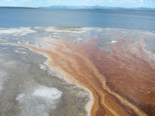文化生活：黄石国家公园（Yellowstone National Park）4、