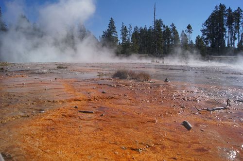 文化生活：黄石国家公园（Yellowstone National Park）7、