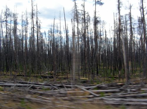 文化生活：黄石国家公园（Yellowstone National Park）43、