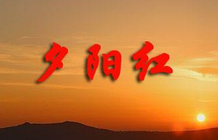 科技退管会二〇二四年第二期简报（2024年3月12日）