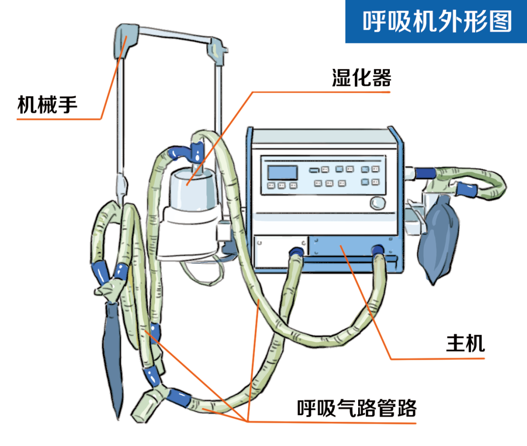 重症监护CPAP呼吸机 - medinCNO® - medin Medical Innovations GmbH - 高频通气 / 新生儿 / 早产儿