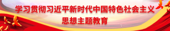 学习贯彻习近平新时代中国特色社会主义思想主题教育