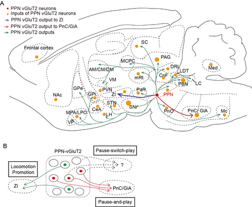 微信图片_20241115103332 微信图片_20241115103332