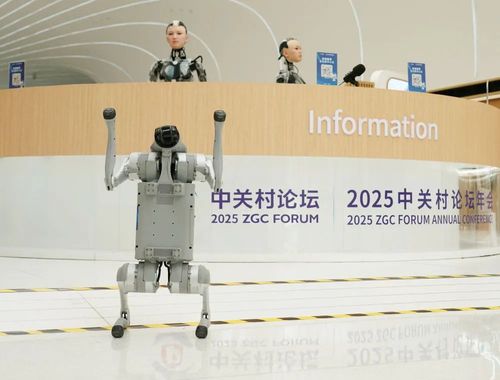 微信图片_20250328095318