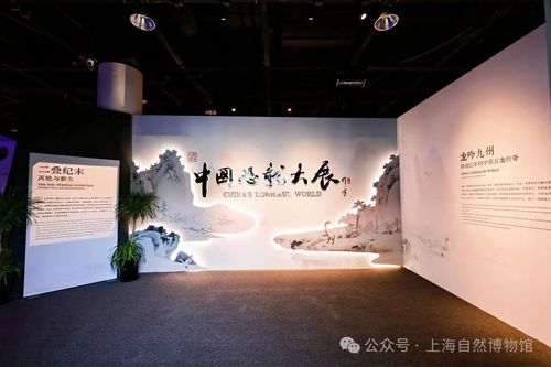 微信图片_20250527113230