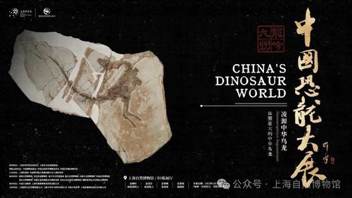 微信图片_20250527113254