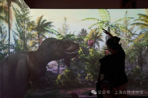 微信图片_20250527113259