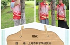 上海市科学学研究所持续开展认养树木志愿活动