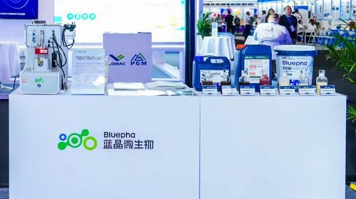 微信图片_20250616140352