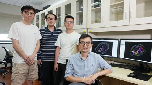 微信图片_20250715092727