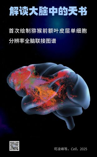 微信图片_20250715092730