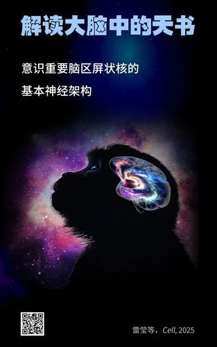 微信图片_20250715092733