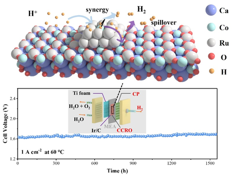 微信图片_20250724174255 微信图片_20250724174255