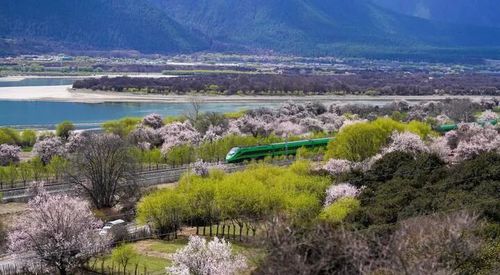 微信图片_20251020135629