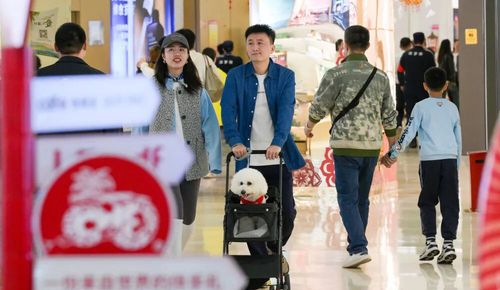 微信图片_20251020135648