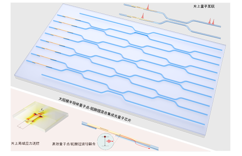 微信图片_20251105092929 微信图片_20251105092929