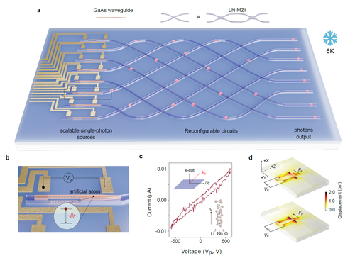 微信图片_20251105092933 微信图片_20251105092933
