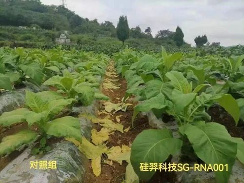 微信图片_20251106090533 微信图片_20251106090533