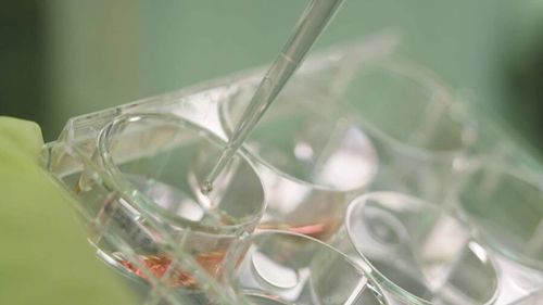 微信图片_20260410204326 微信图片_20260410204326