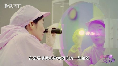 微信图片_20260623092203 微信图片_20260623092203