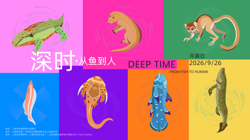 微信图片_20260929093024 微信图片_20260929093024