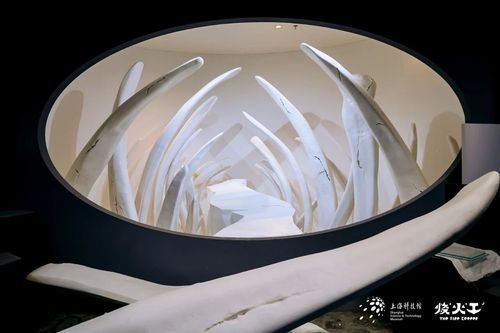 微信图片_20260930091903 微信图片_20260930091903